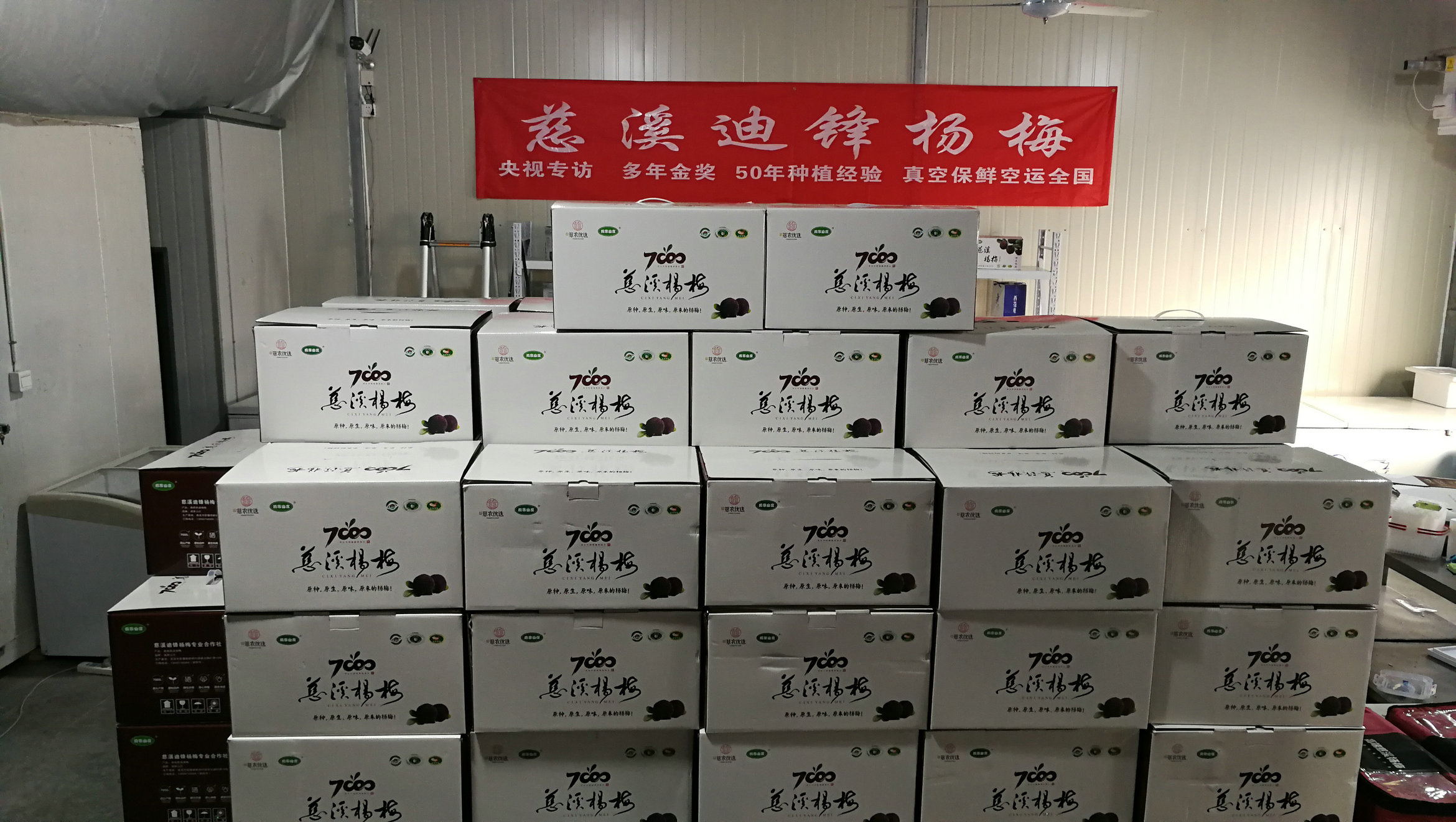 迪锋精品杨梅