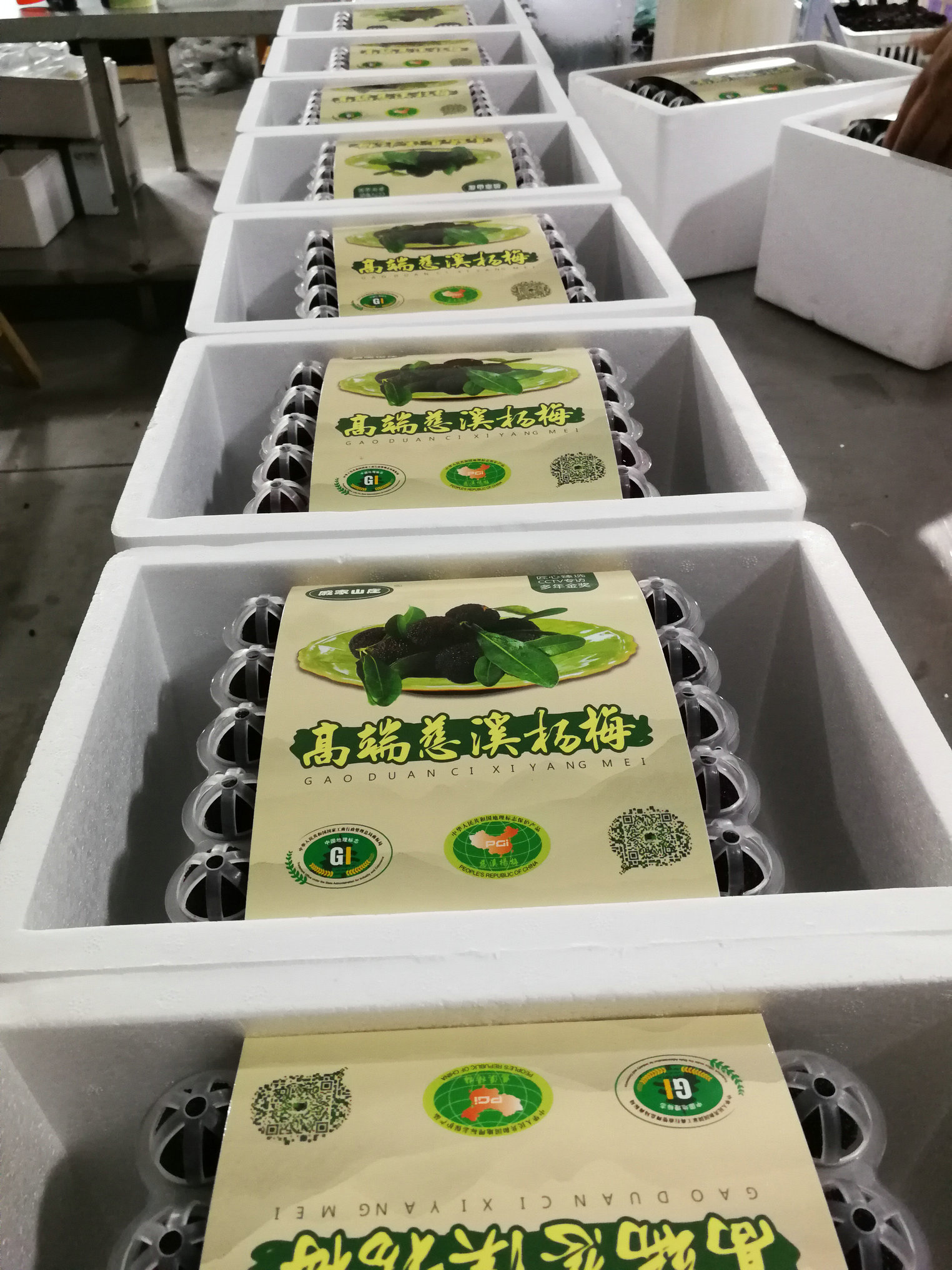 迪锋精品杨梅
