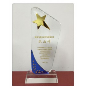 慈溪市十佳创业先锋提名奖
