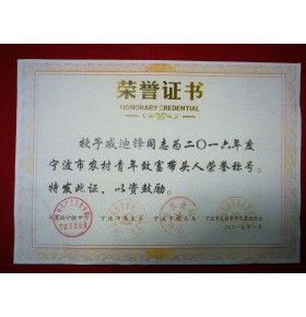 荣誉资质