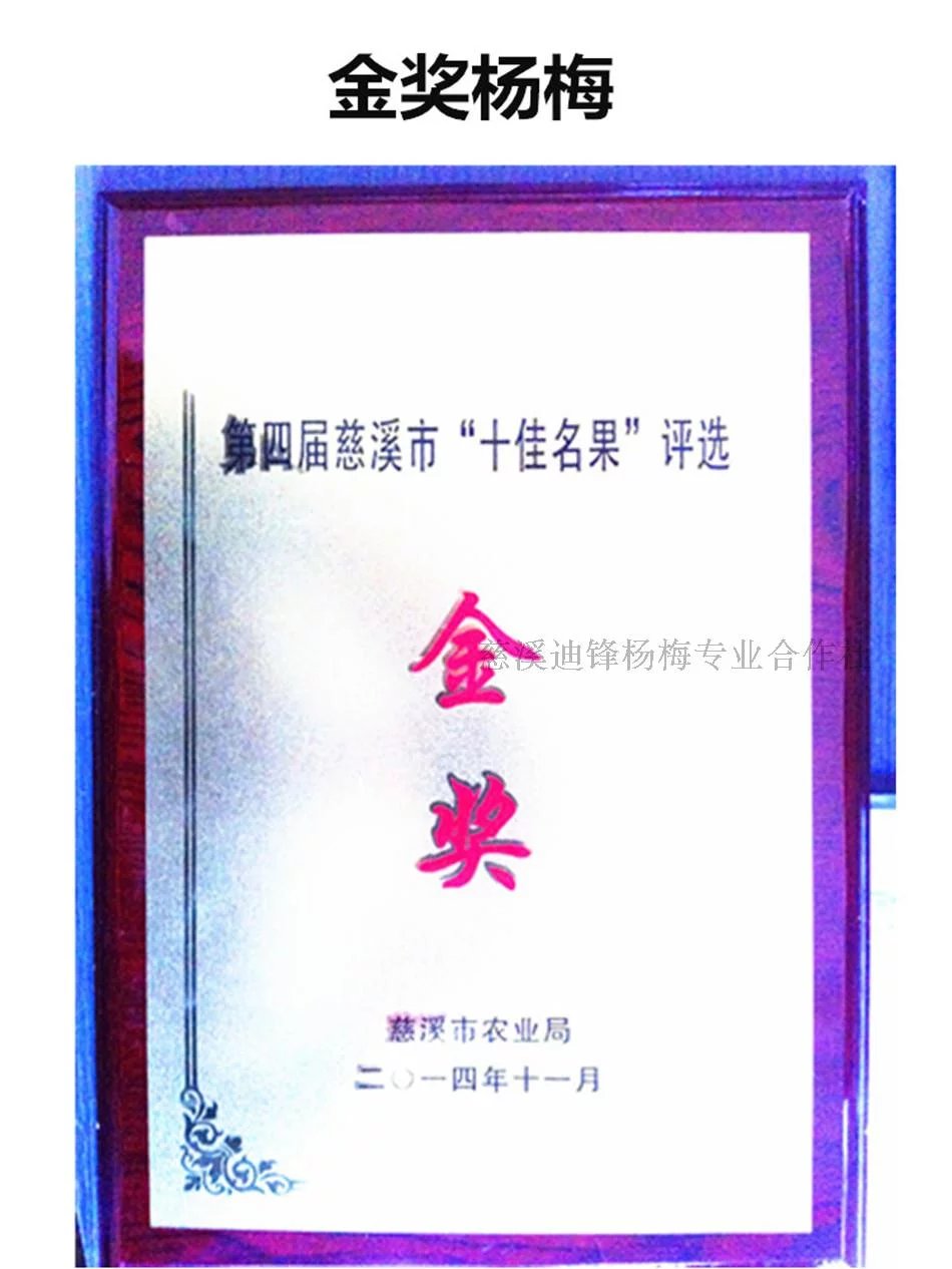 荣誉资质