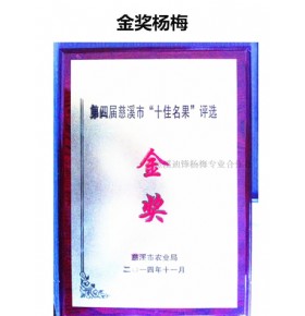 荣誉资质
